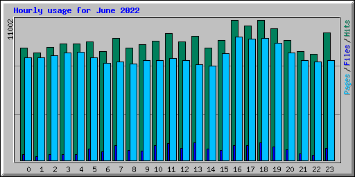 Hourly usage for June 2022