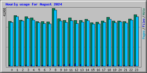 Hourly usage for August 2024