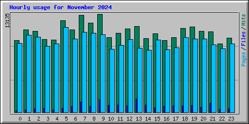 Hourly usage for November 2024