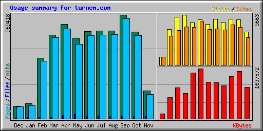 Usage summary for turnem.com